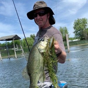 Meet your Posher, Posh